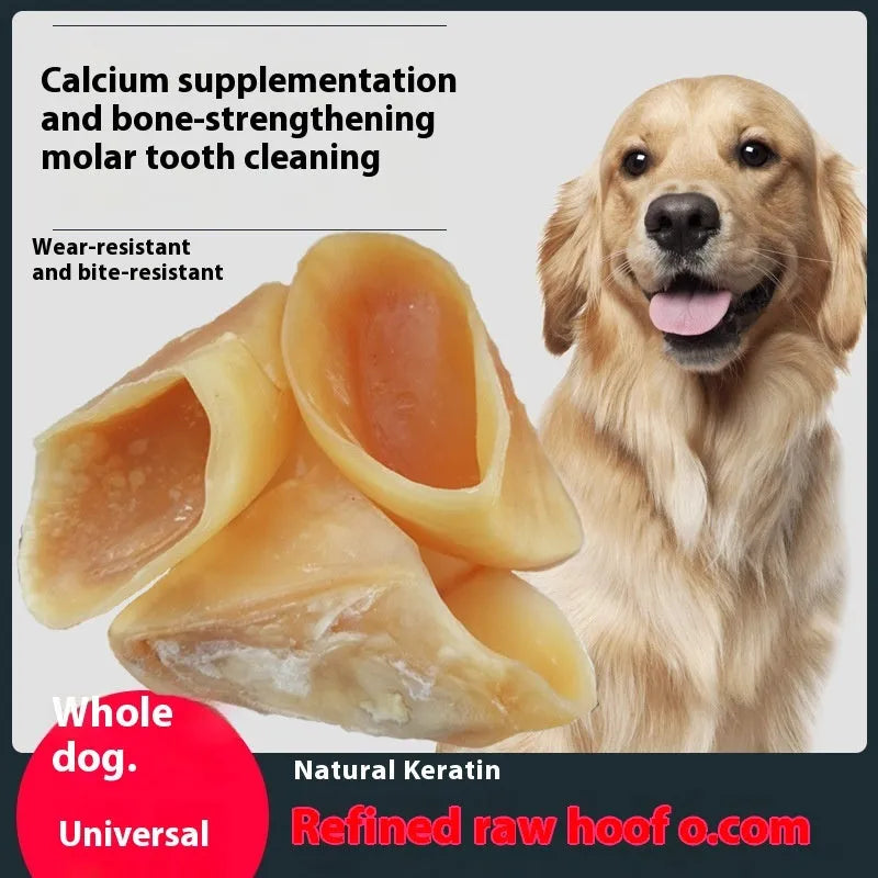 Natural cowhide hoof shell chew for dogs on a white background, showing small and large size options.