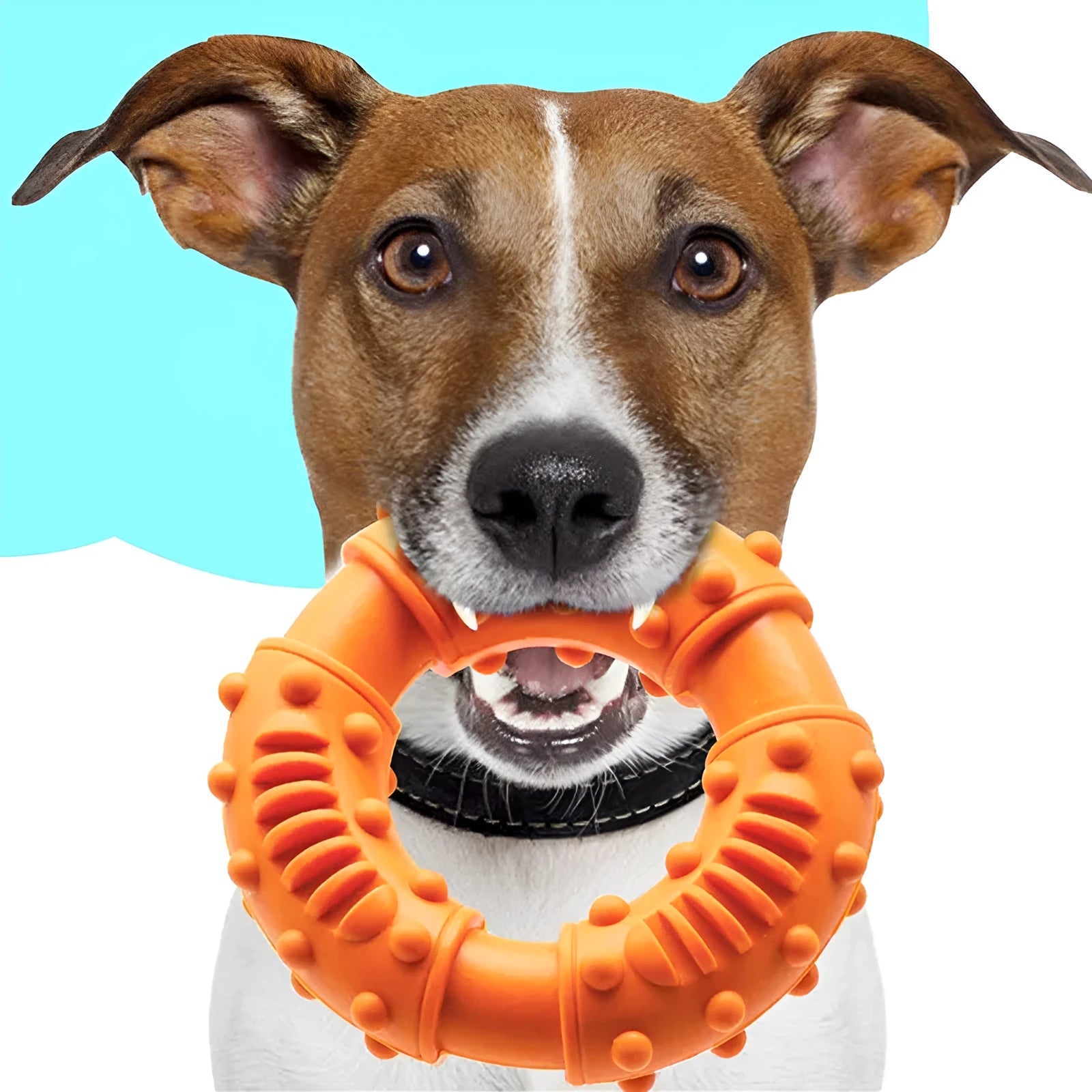 Blue, orange, and red lightweight hollow dog fetching stick toy for puppies and large dogs.