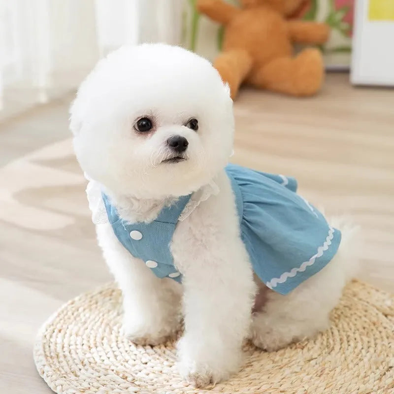 Bondi Blue dog skirt with strawberry prints and traction strips for small dogs