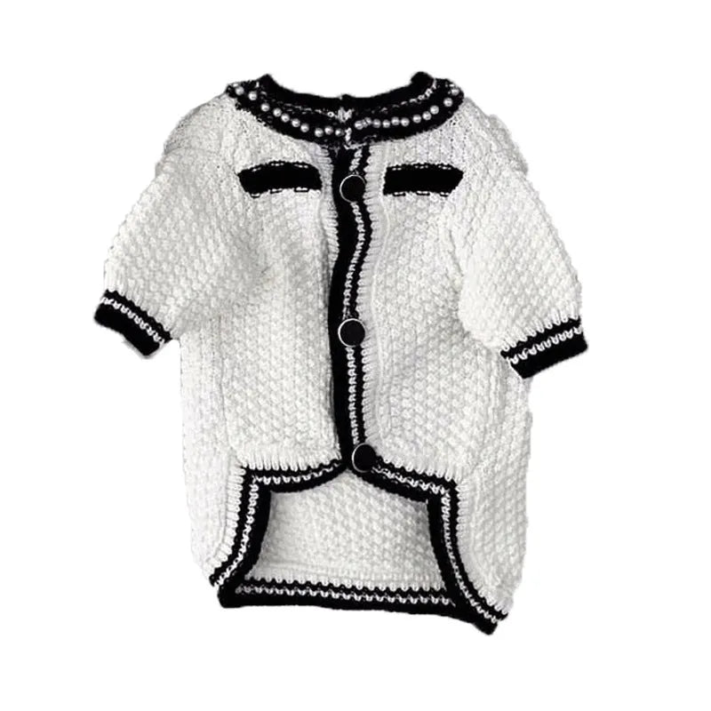 Korean style white dog sweater with pearl collar on small breed dog