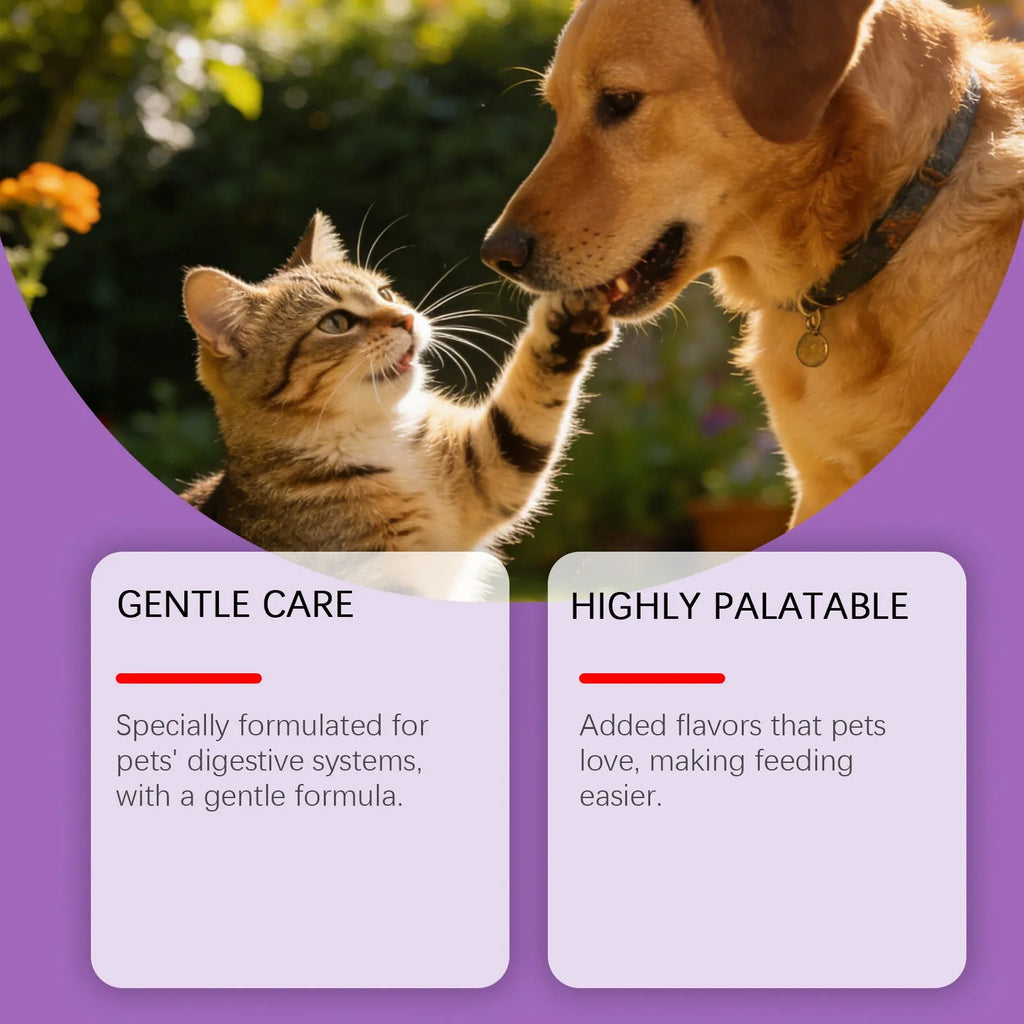 200g probiotic powder for pet intestinal care containing Bacillus subtilis, fructooligosaccharides, glucose and chicken powder
