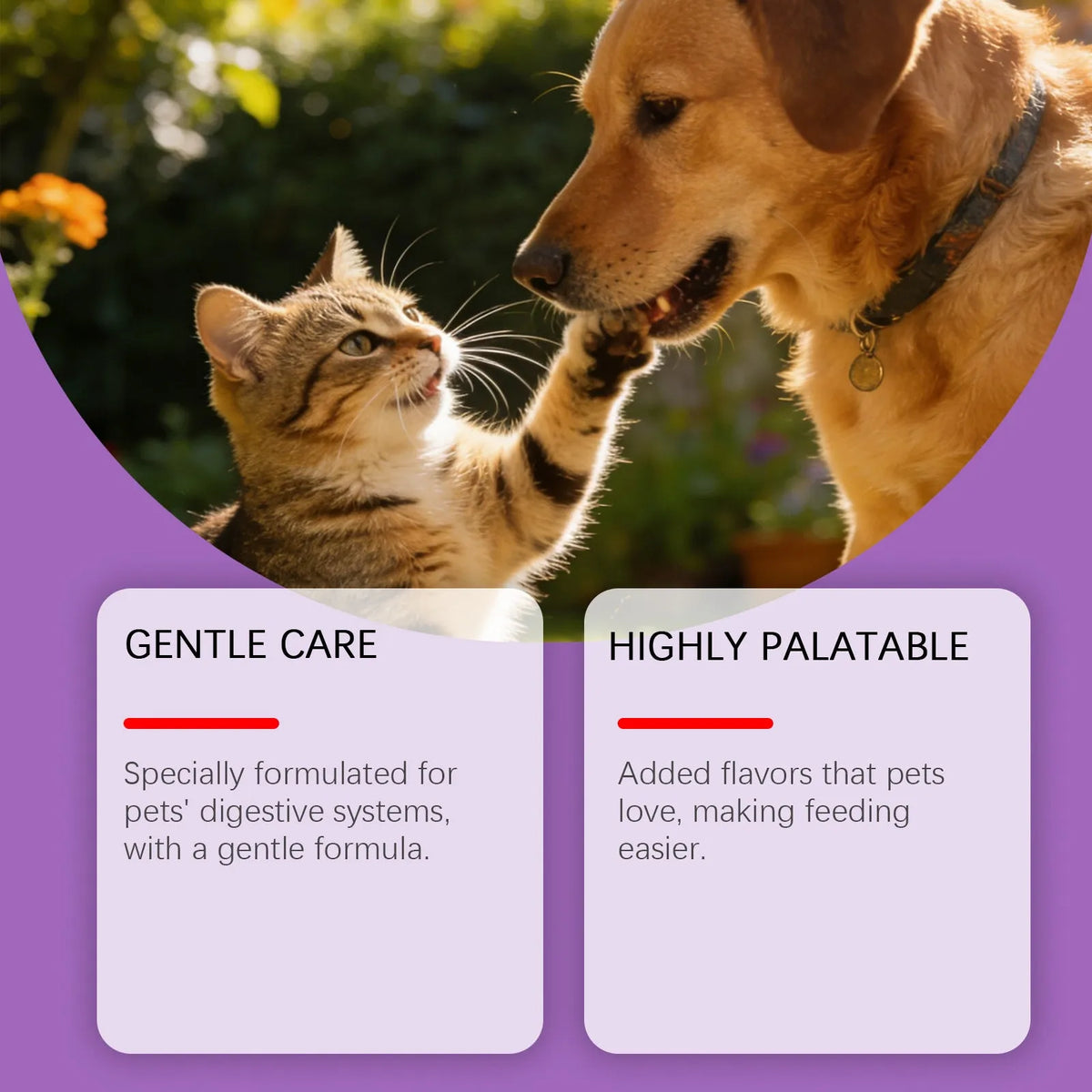 200g probiotic powder for pet intestinal care containing Bacillus subtilis, fructooligosaccharides, glucose and chicken powder