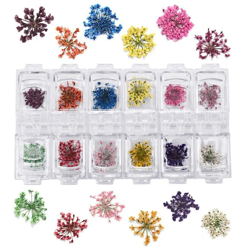 12 colour solid dried flower nail stickers in floral nail art arrangement