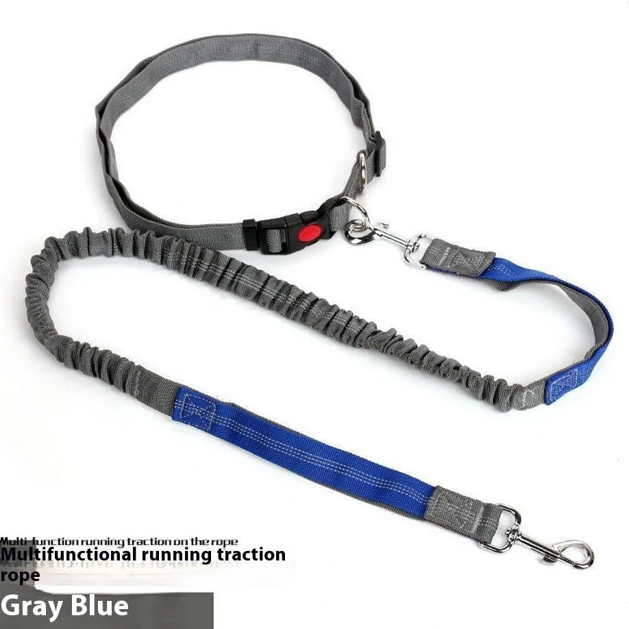 Grey and green reflective nylon dog leash with 2.5cm width for outdoor running