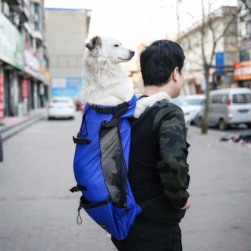 Pet dog carrier bag backpack in plain polyester with double shoulders, available in multiple colours and sizes S to XL