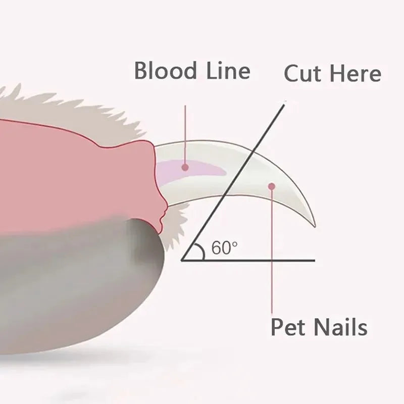 Blue pet nail clippers with LED light on, showing stainless steel blades and non-slip handles for safe dog and cat claw trimming.