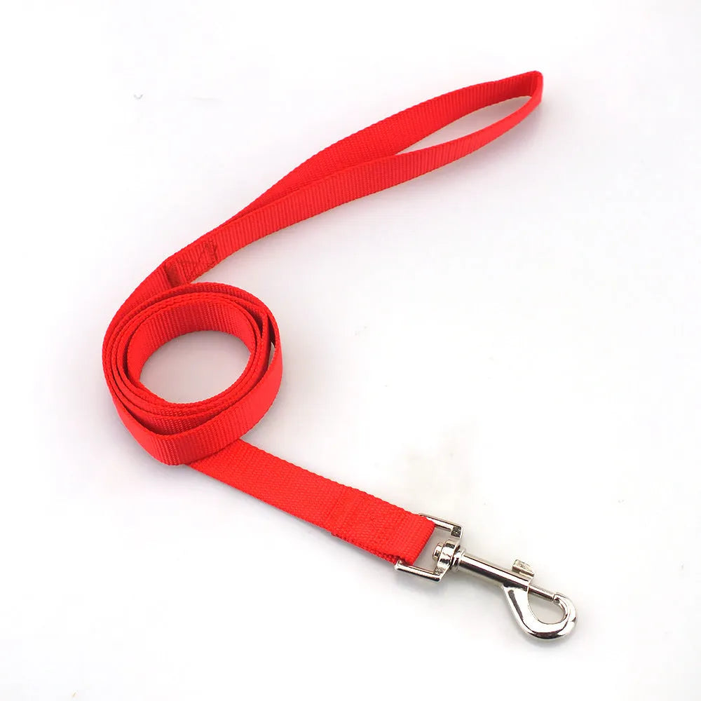 Solid colour polyester dog hand holding rope in blue, shown with a choice of width specifications.