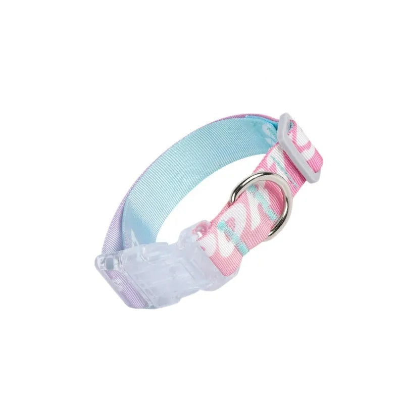 Adjustable nylon dog collar with cartoon gradient printing in panda green and other colours.