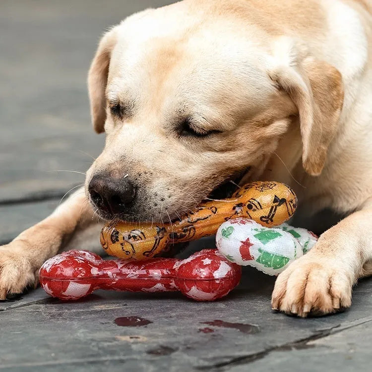 Bone-shaped dog squeaker toy in seasonal colours with TPR material construction