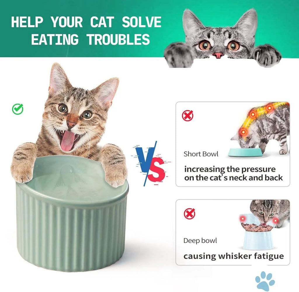 Elevated ceramic cat bowl in dark green colour showing tilted round design
