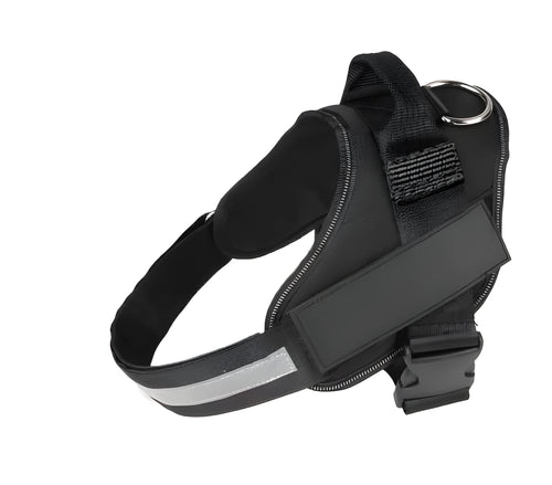 Adjustable dog harness with mesh padded vest on medium-sized dog