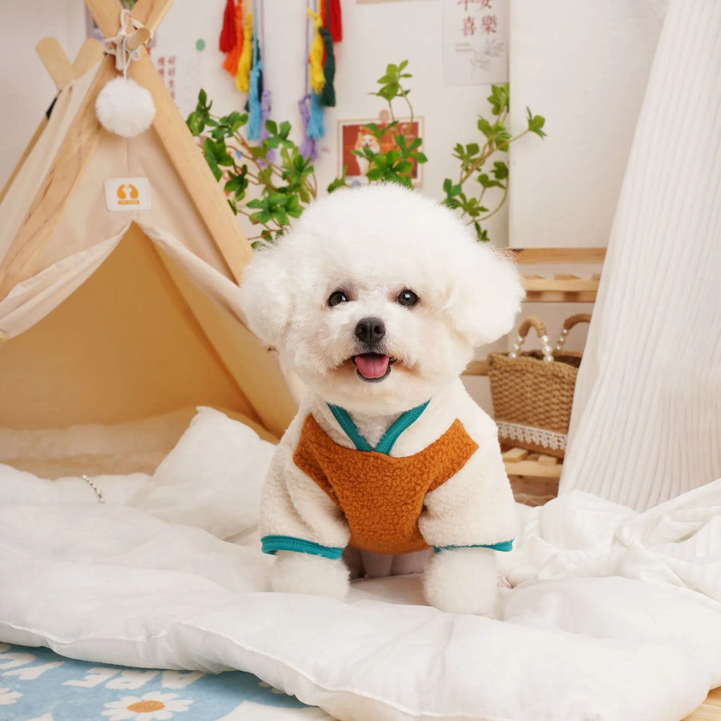 Pet wearing lambswool berber fleece sweatshirt in caramel colour for autumn winter warmth
