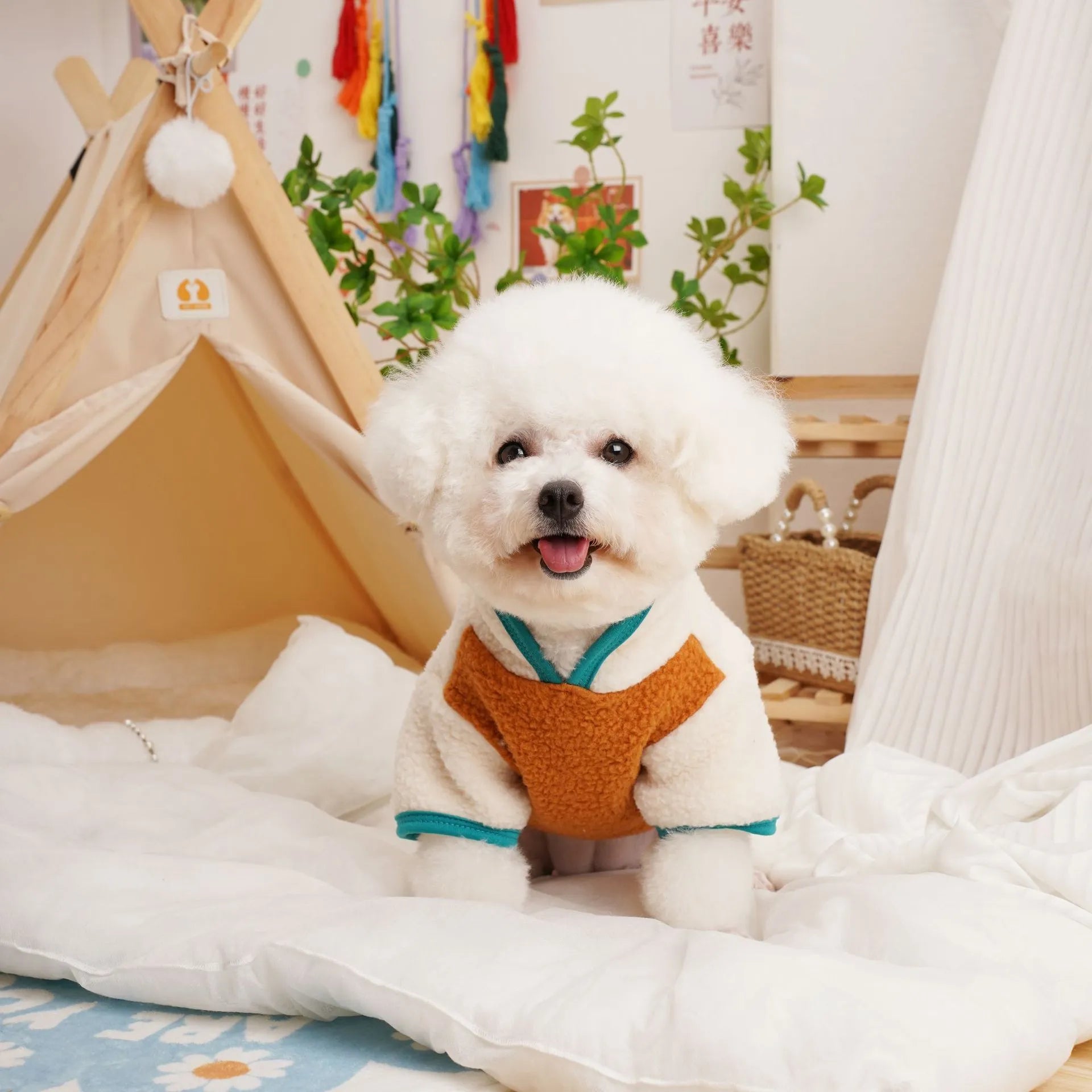 Pet wearing lambswool berber fleece sweatshirt in caramel colour for autumn winter warmth
