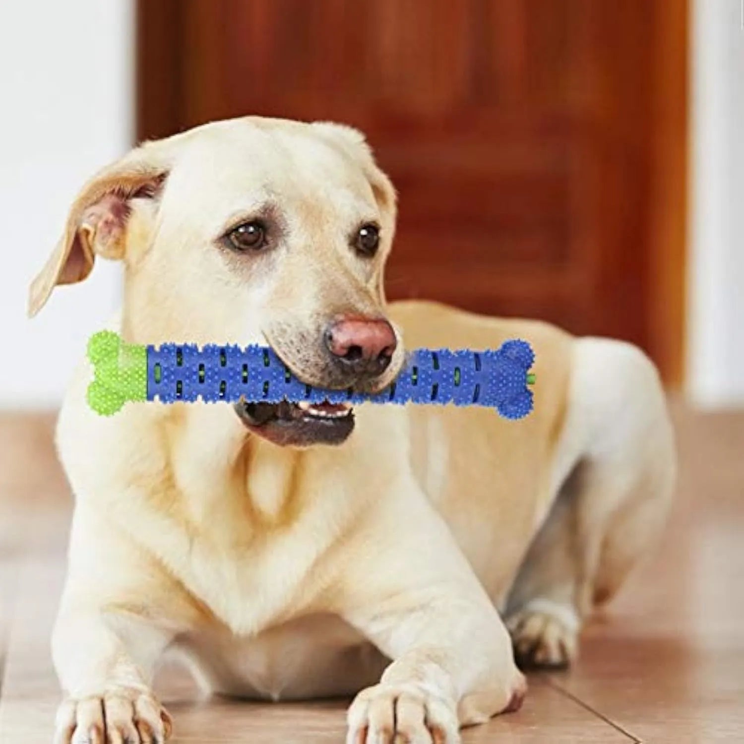 Blue green silicone dog toothbrush chew toy with brush head design measuring 25cm length