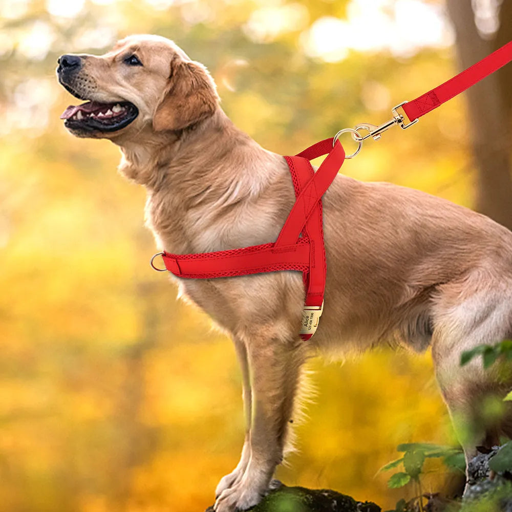 Personalized nylon dog harness leash set with bow tie, adjustable, in blue coffee grey red, sizes XS to L