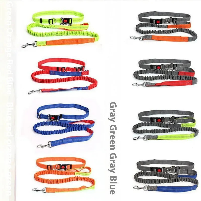 Grey and green reflective nylon dog leash with 2.5cm width for outdoor running