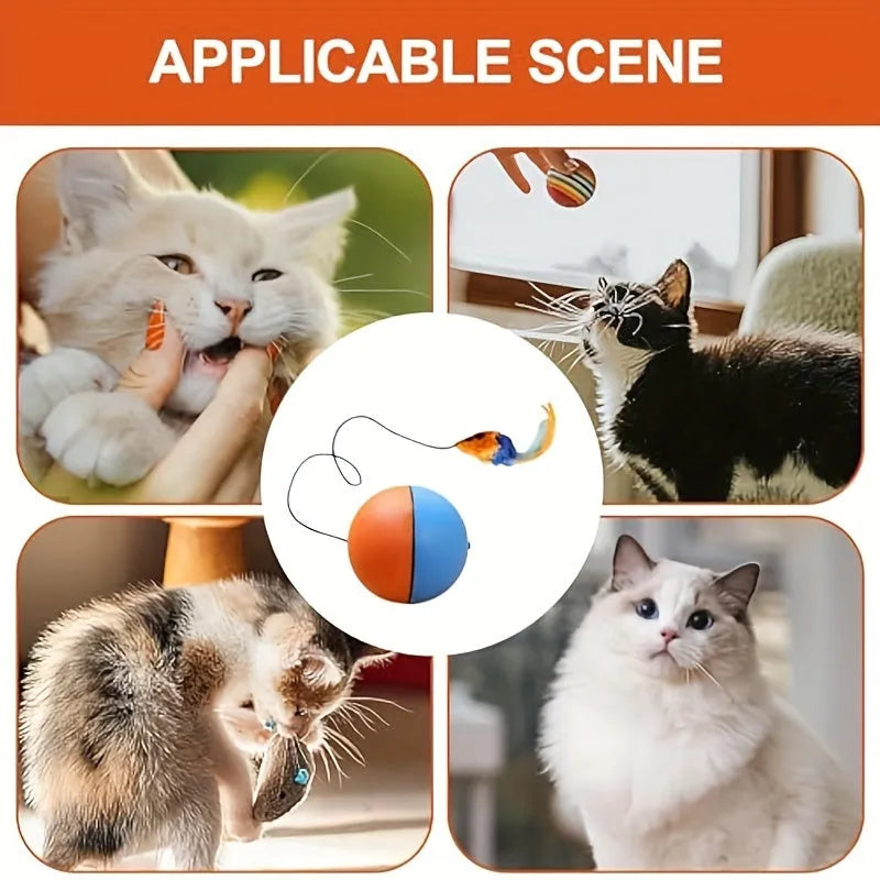 Blue and orange interactive cat toy plush mouse ball with catnip pocket for feline exercise