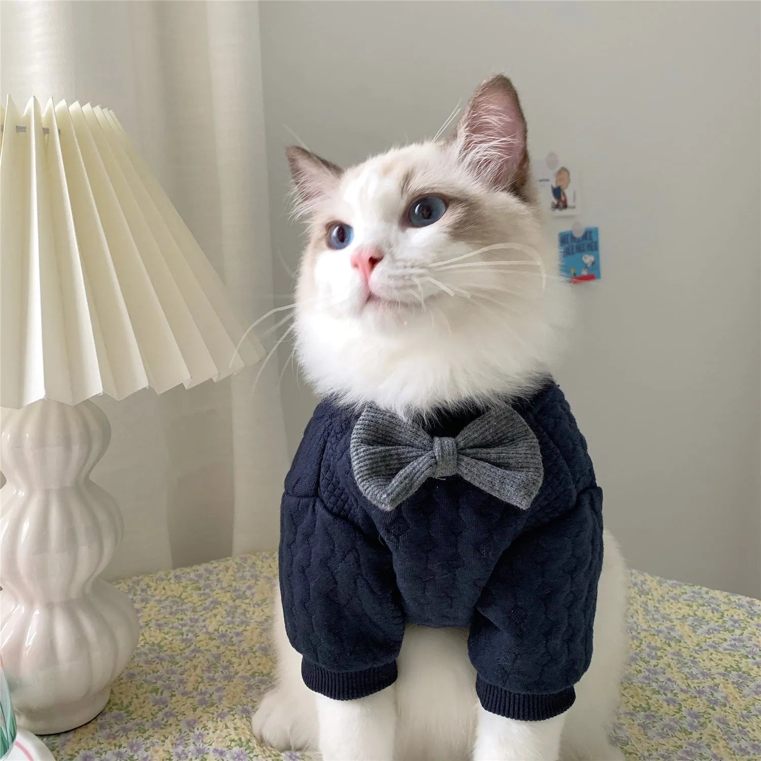 Navy blue casual pet sweater for dogs and cats, size XS to XL, shown on a pet providing warmth