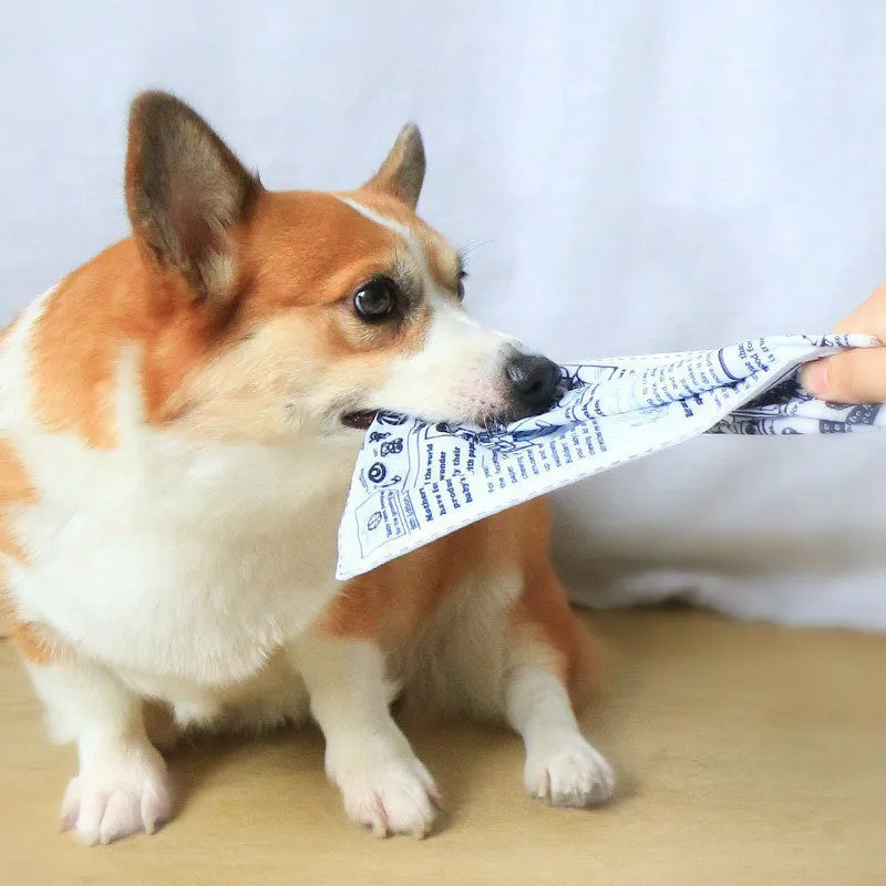 Tear-resistant dog toy with newspaper design and squeaker for interactive pet play