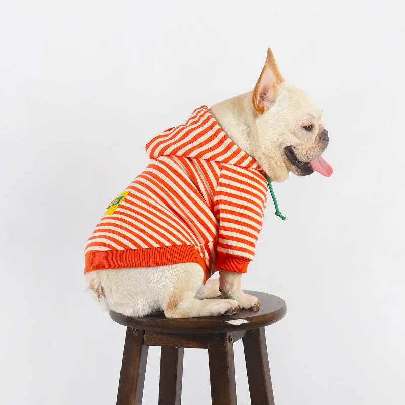 Orange cotton hooded sweater for a dog, showing Japanese Korean style on a mannequin.