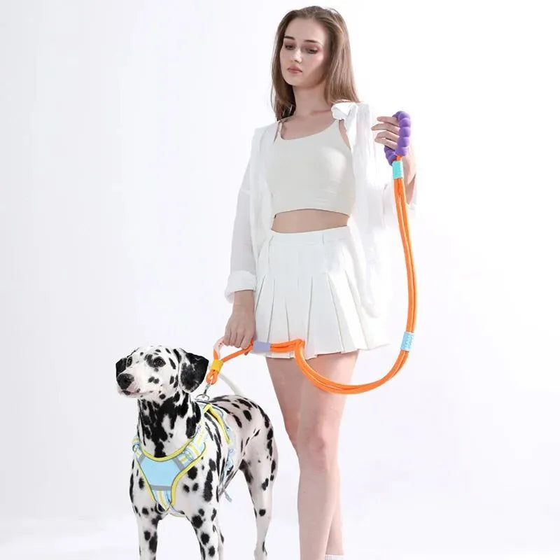 Nylon dog leash with anti-slip foam handle in choice of four colours.