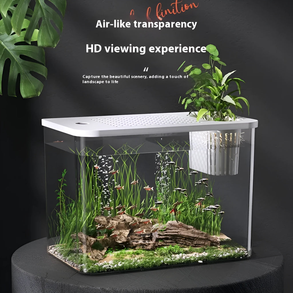 Plastic betta fish tank with cover measuring 32x18.5x23cm in black or white colour options