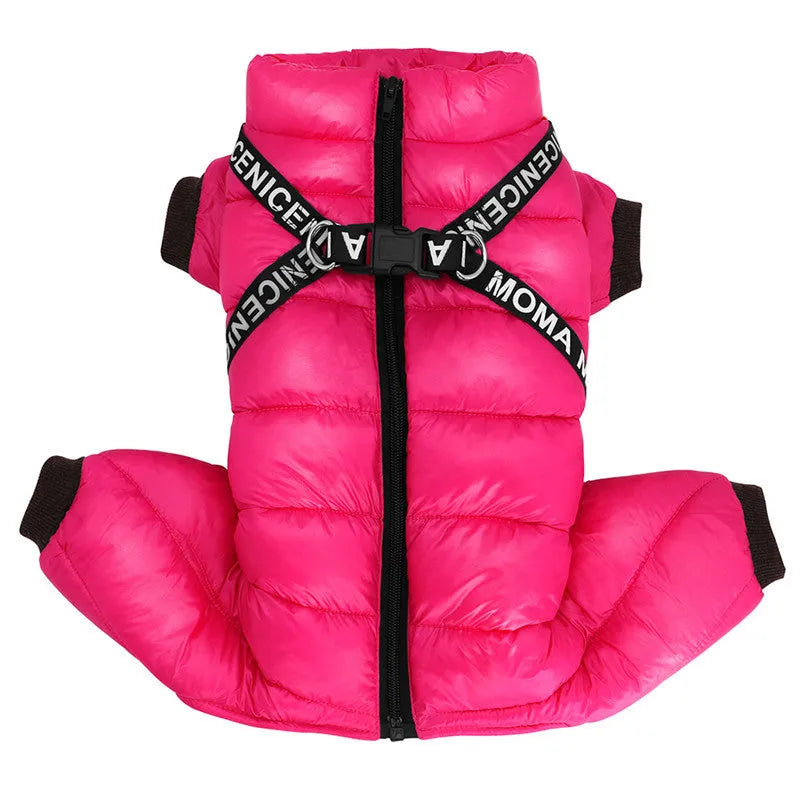 Polyester winter pet coat for fighting dogs in black with size chart on blue background