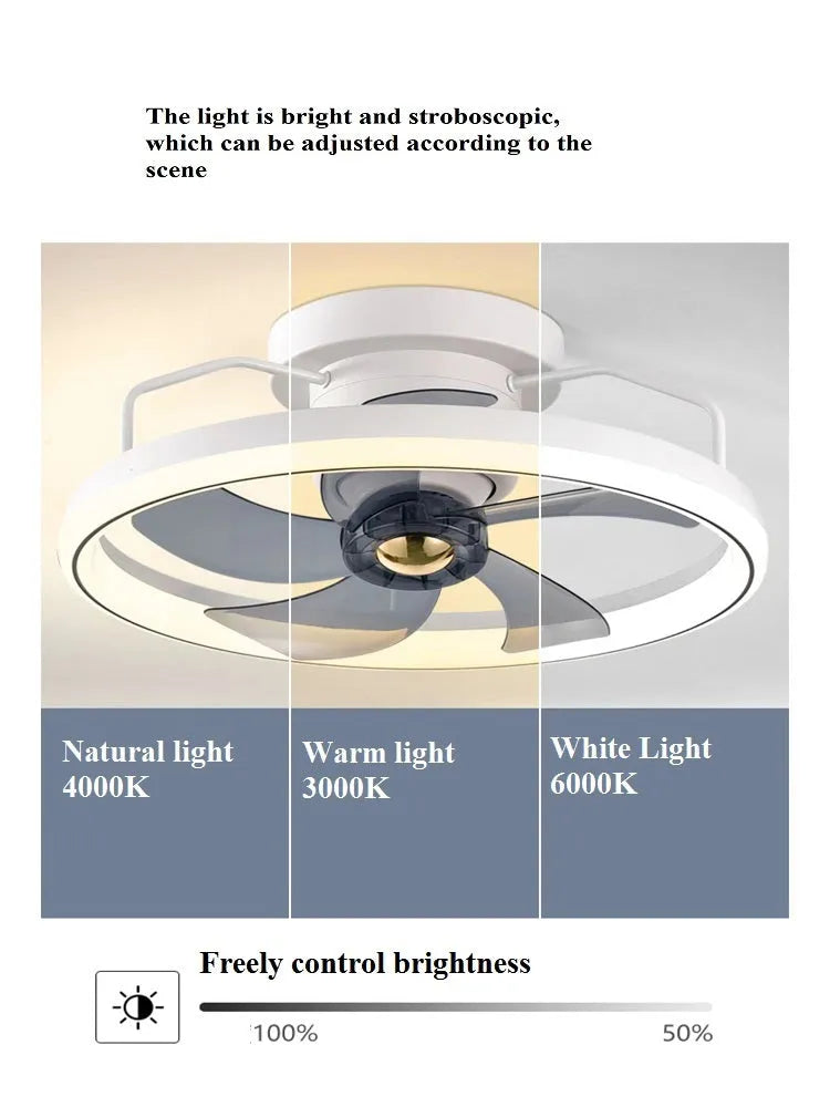 Modern simple ceiling fan with integrated light fixture showing 500mm diameter and acrylic lampshade