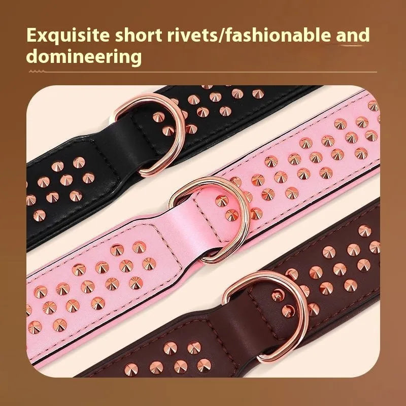 Leather dog collar with metal anti-bite rivets and a buckle, shown in black colour.