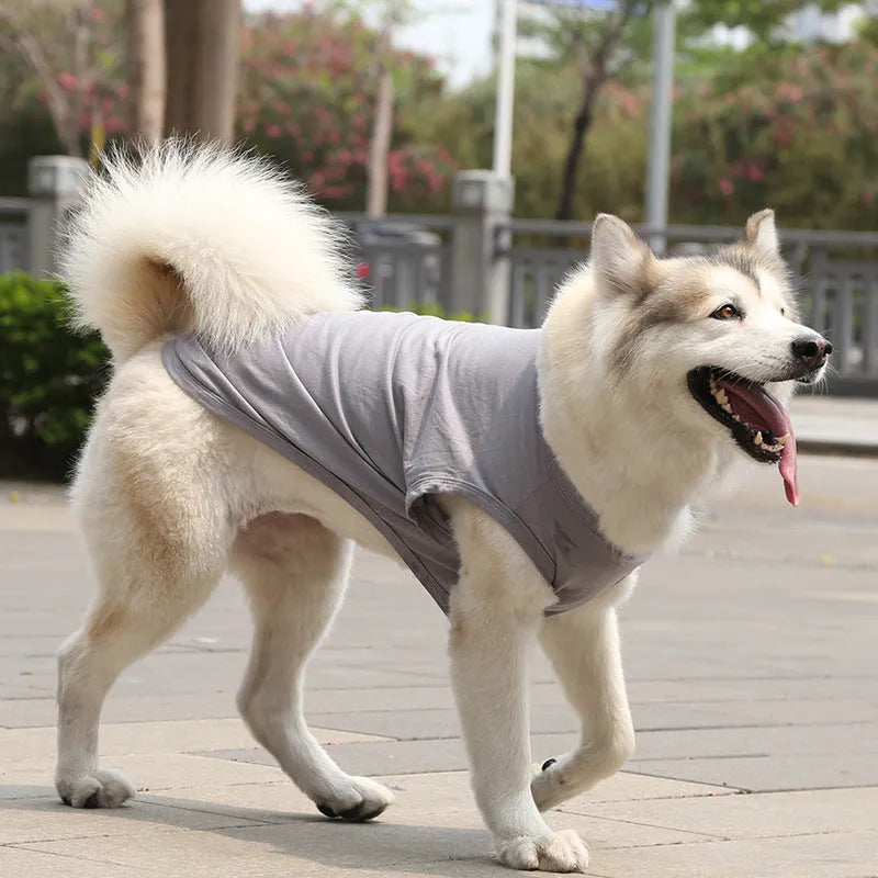 Cotton dog vest summer T-shirt in various colours for small to large dogs, XS-5XL sizes