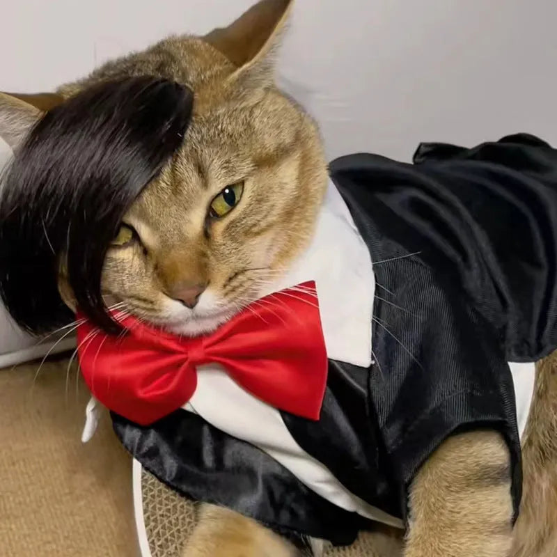 Black polyester imitation braid cat wig for pet costume dress up