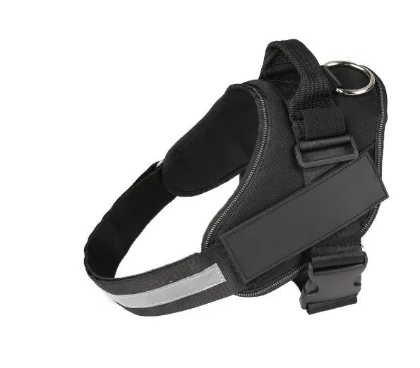 Adjustable dog harness with mesh padded vest on medium-sized dog
