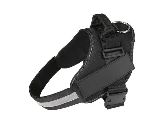 Adjustable dog harness with mesh padded vest on medium-sized dog