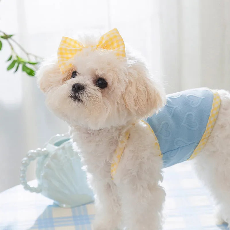 Small dog wearing a blue elastic vest with bow suspenders and a raised heart texture design.