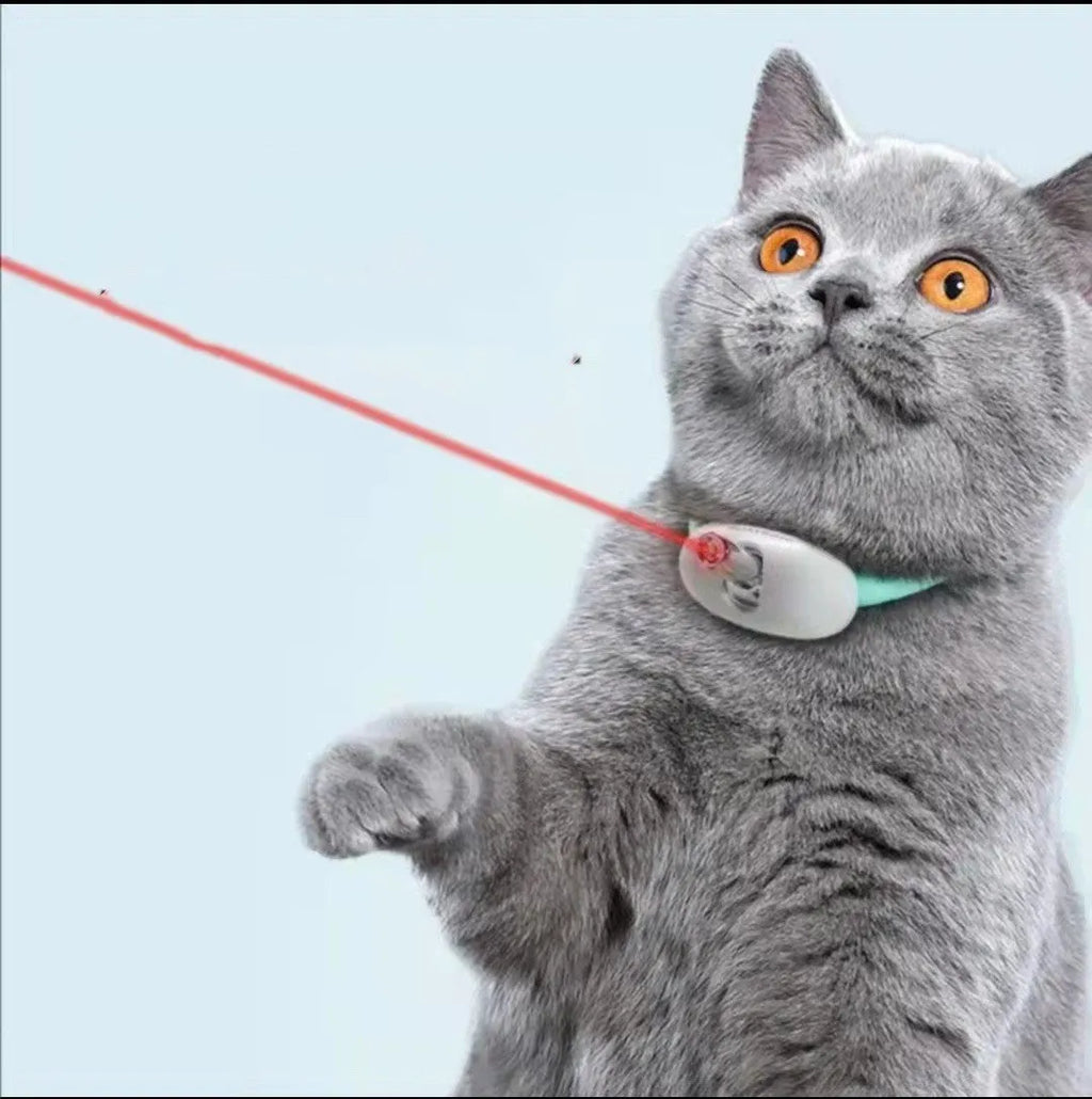 Automatic cat teaser kitty laser pen light with PC TPC material in monochrome colour for indoor cat play