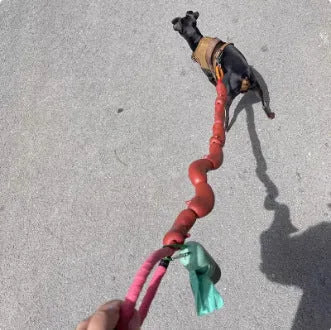 Brown cotton rope dog chew toy with sausage segments and hand grip, total length 108cm