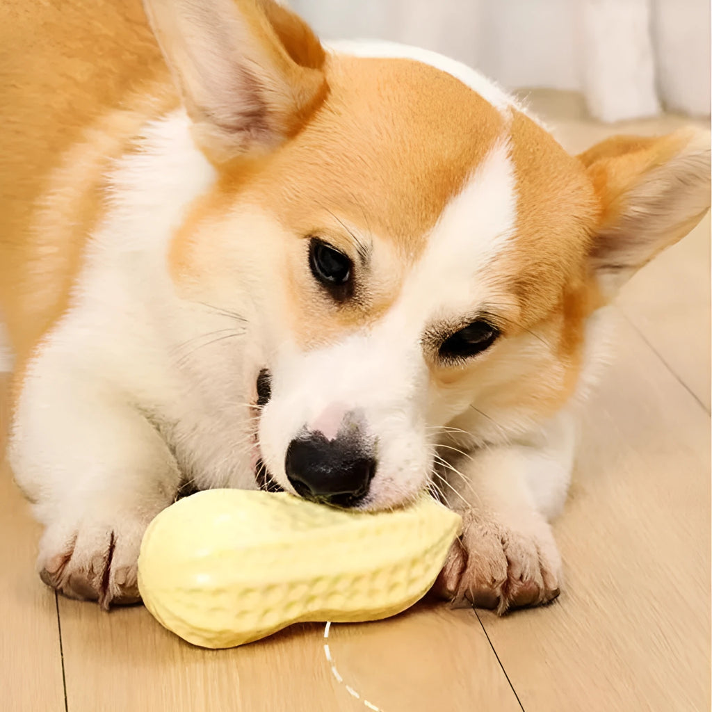Yellow peanut-shaped dog chew toy with textured surface for dental cleaning