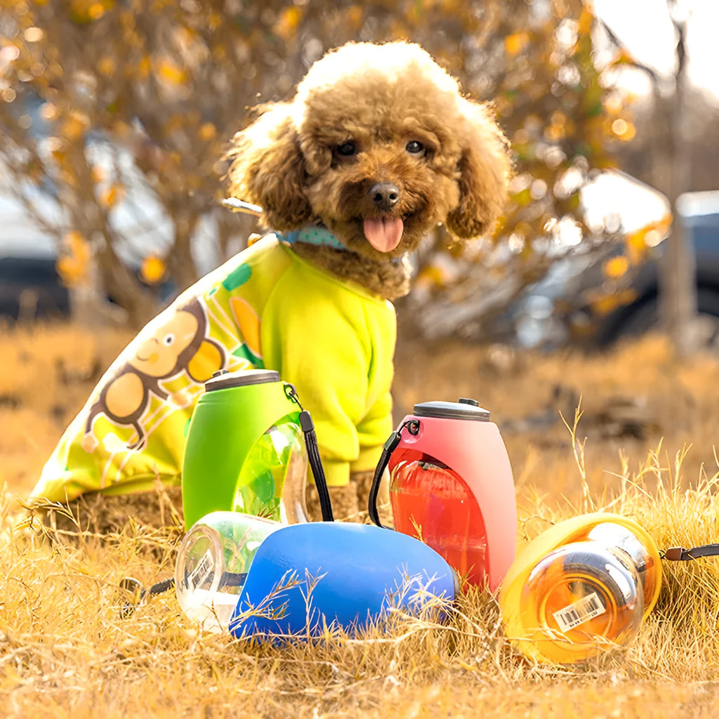 Portable pet water bottle with drinking bowl in blue green orange red colours showing 680ml capacity and key lock