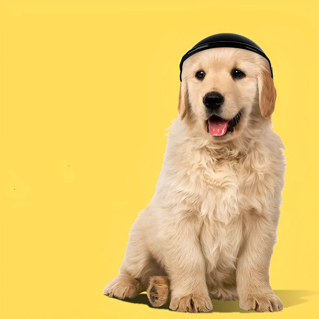 Small S size plastic pet safety helmet for dogs and cats in four colour options