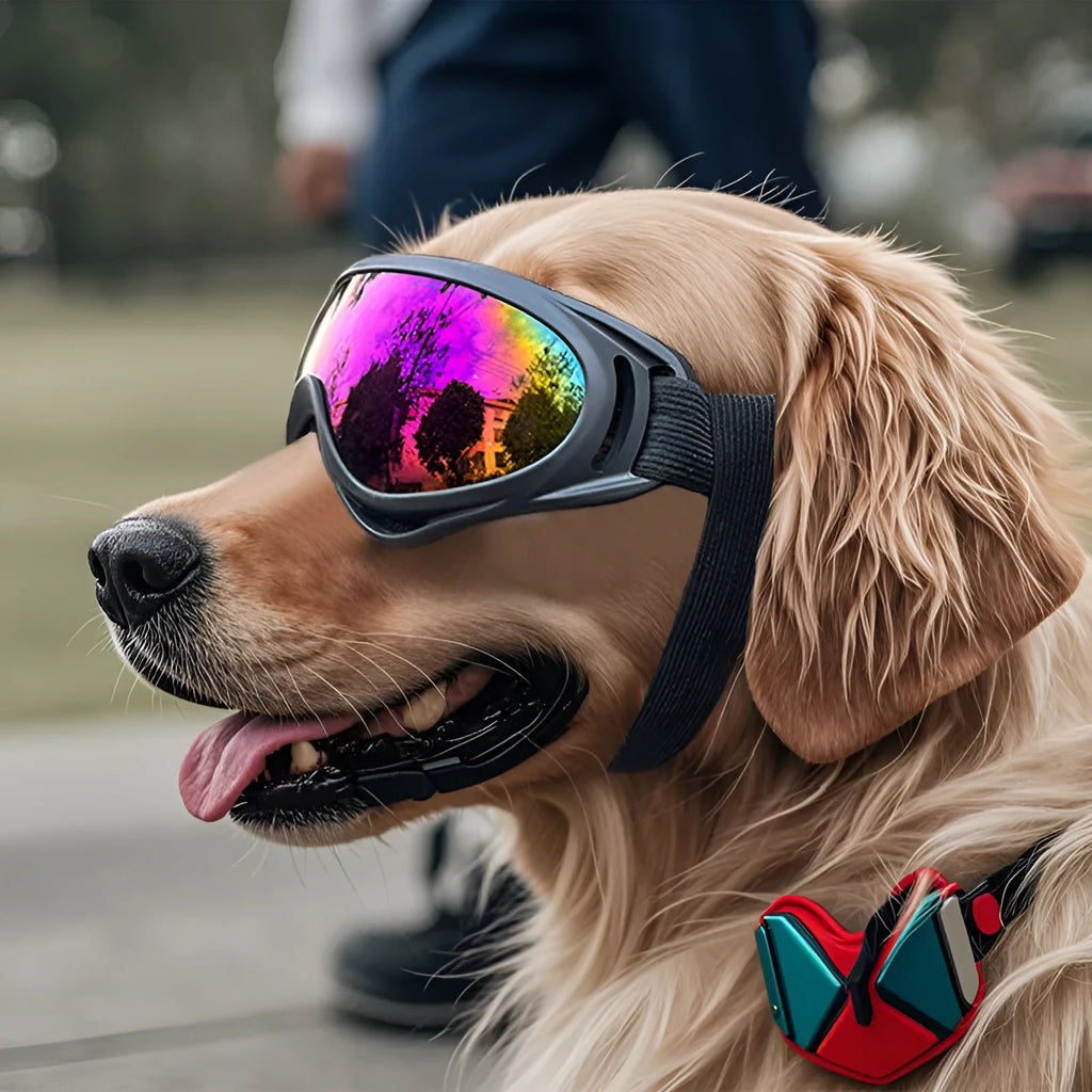 Dog windproof PVC pet glasses, 18x8x7cm, shown in five lens colours including black, clear and dazzling red.