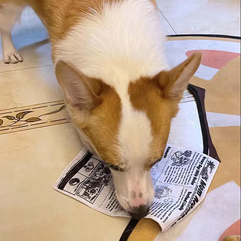 Tear-resistant dog toy with newspaper design and squeaker for interactive pet play