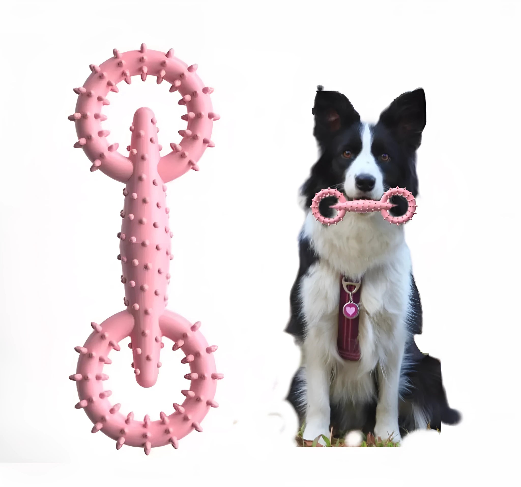 Blue TPR dog chew ring toy for teething puppies measuring 16cm diameter