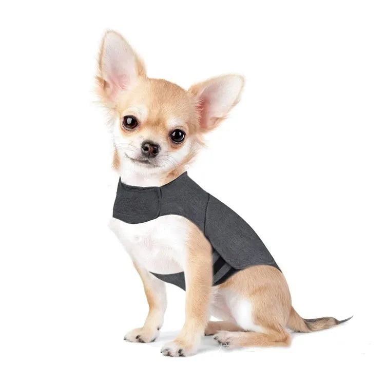 Heather grey dog anxiety jacket warm vest on a dog, showing soft fabric and snug fit.