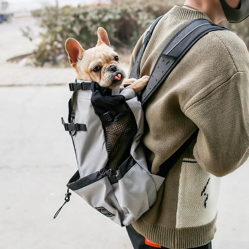 Pet dog carrier bag backpack in plain polyester with double shoulders, available in multiple colours and sizes S to XL