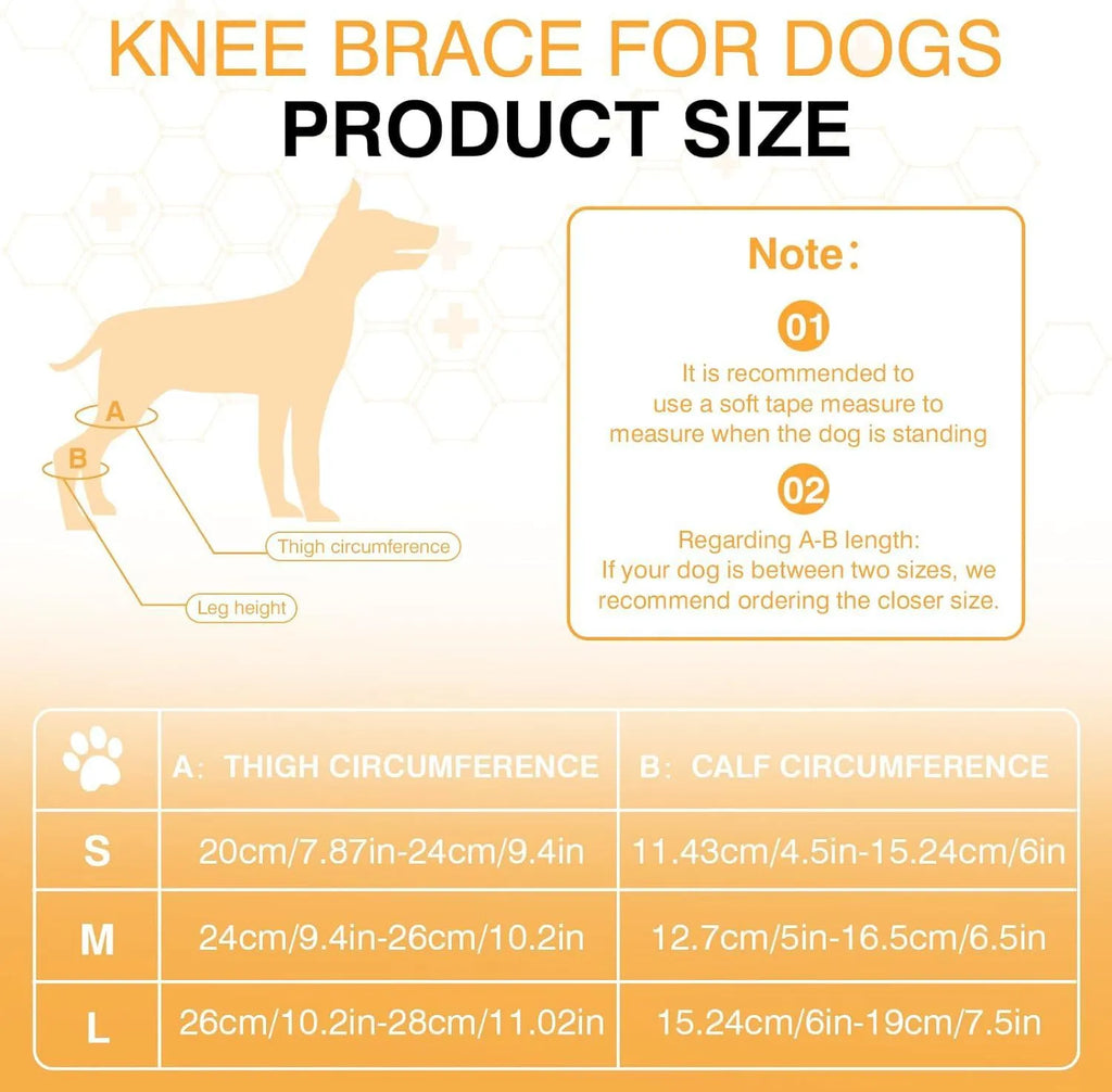 Dog leg protector knee brace with adjustable auxiliary belt on a medium-sized dog's hind leg for joint support