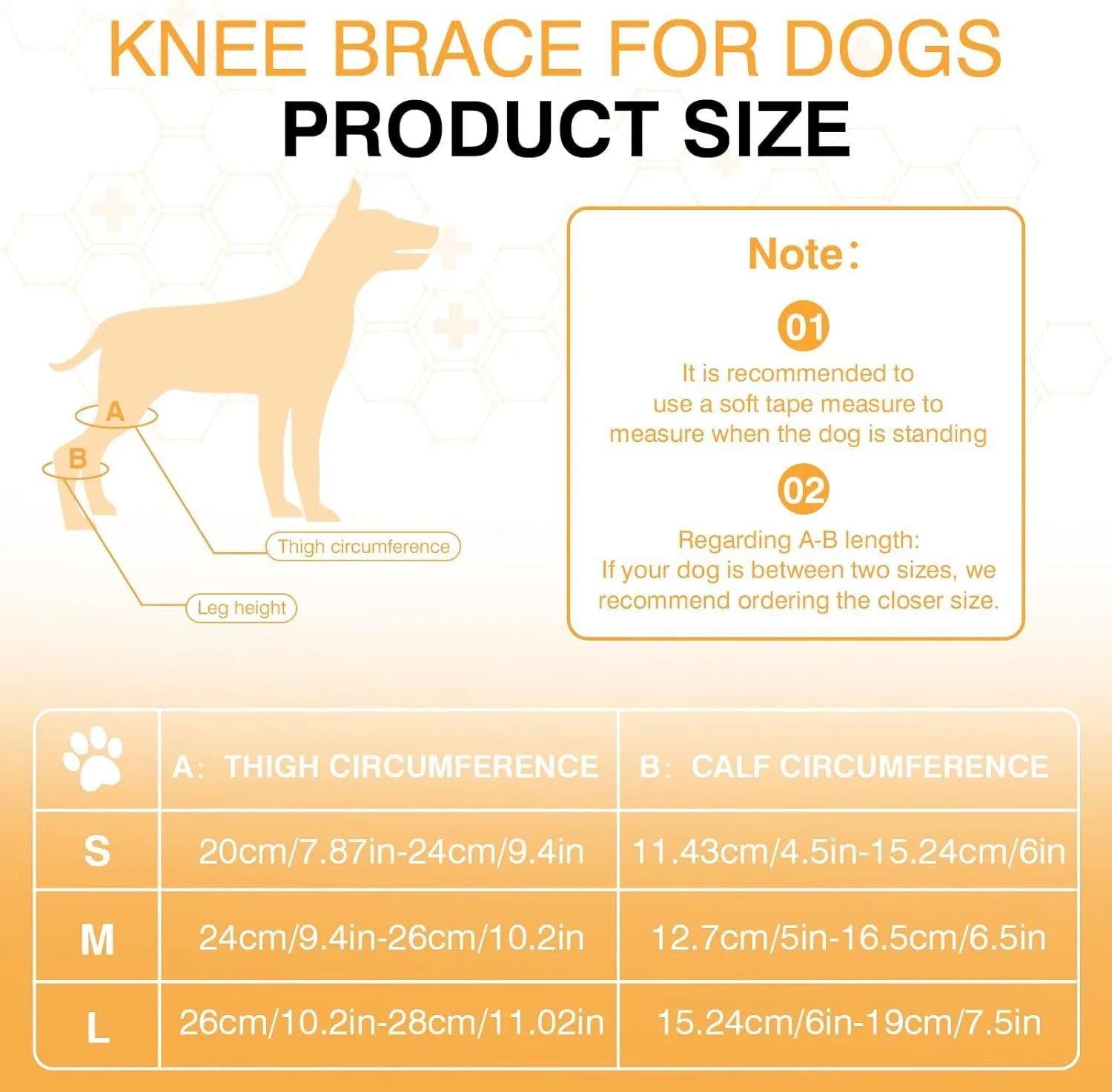 Dog leg protector knee brace with adjustable auxiliary belt on a medium-sized dog's hind leg for joint support