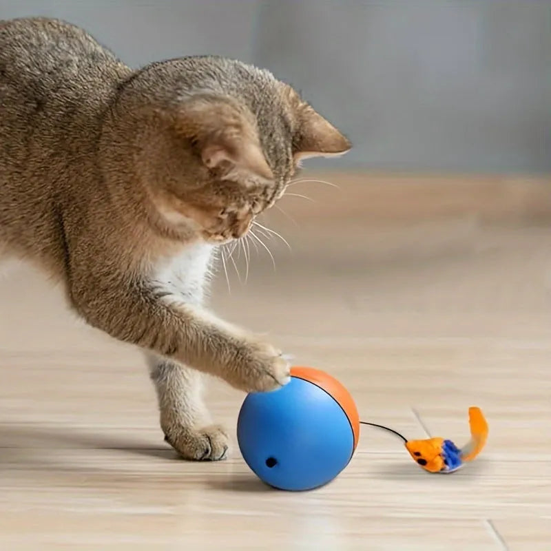 Blue and orange interactive cat toy plush mouse ball with catnip pocket for feline exercise