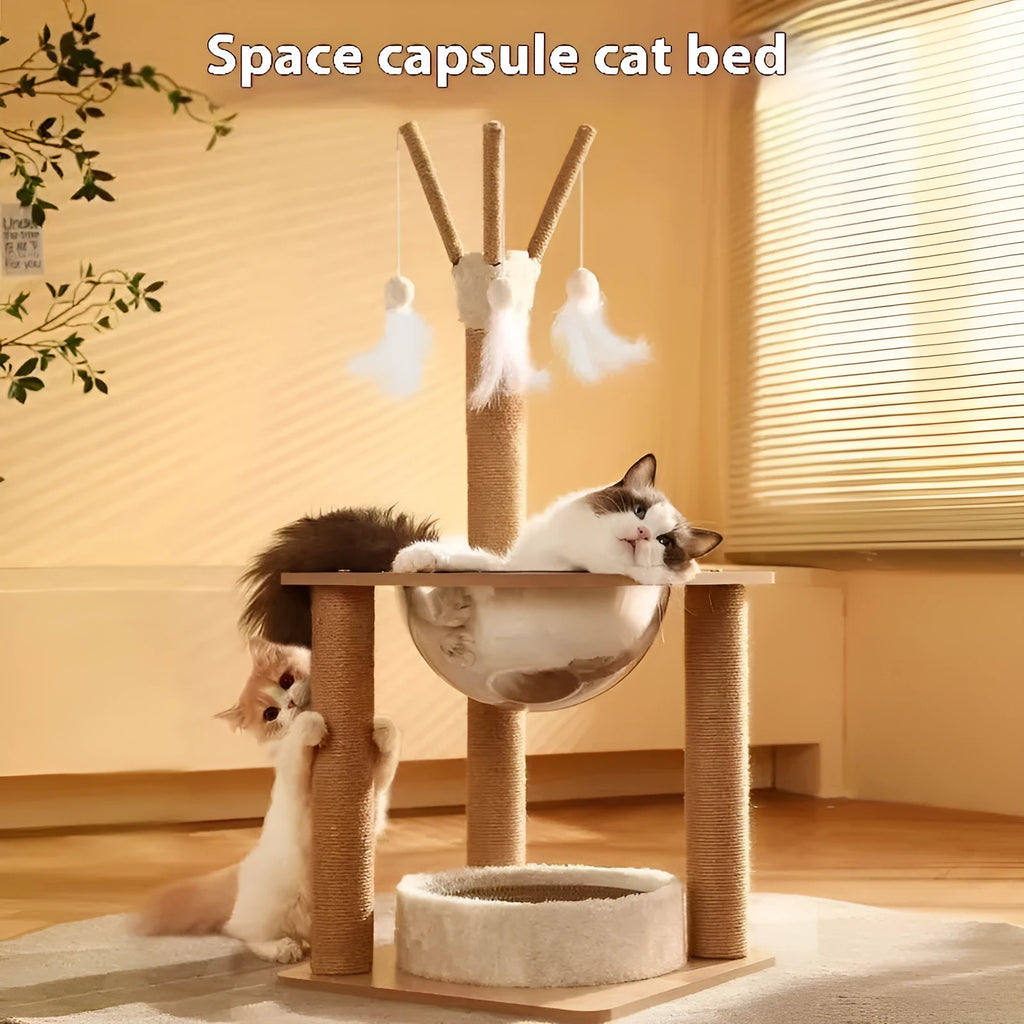 Wooden cat climbing frame with space capsule in luxury colour finish