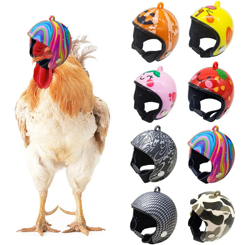 Plastic chicken helmet pet accessory in various colours and designs for poultry headgear.