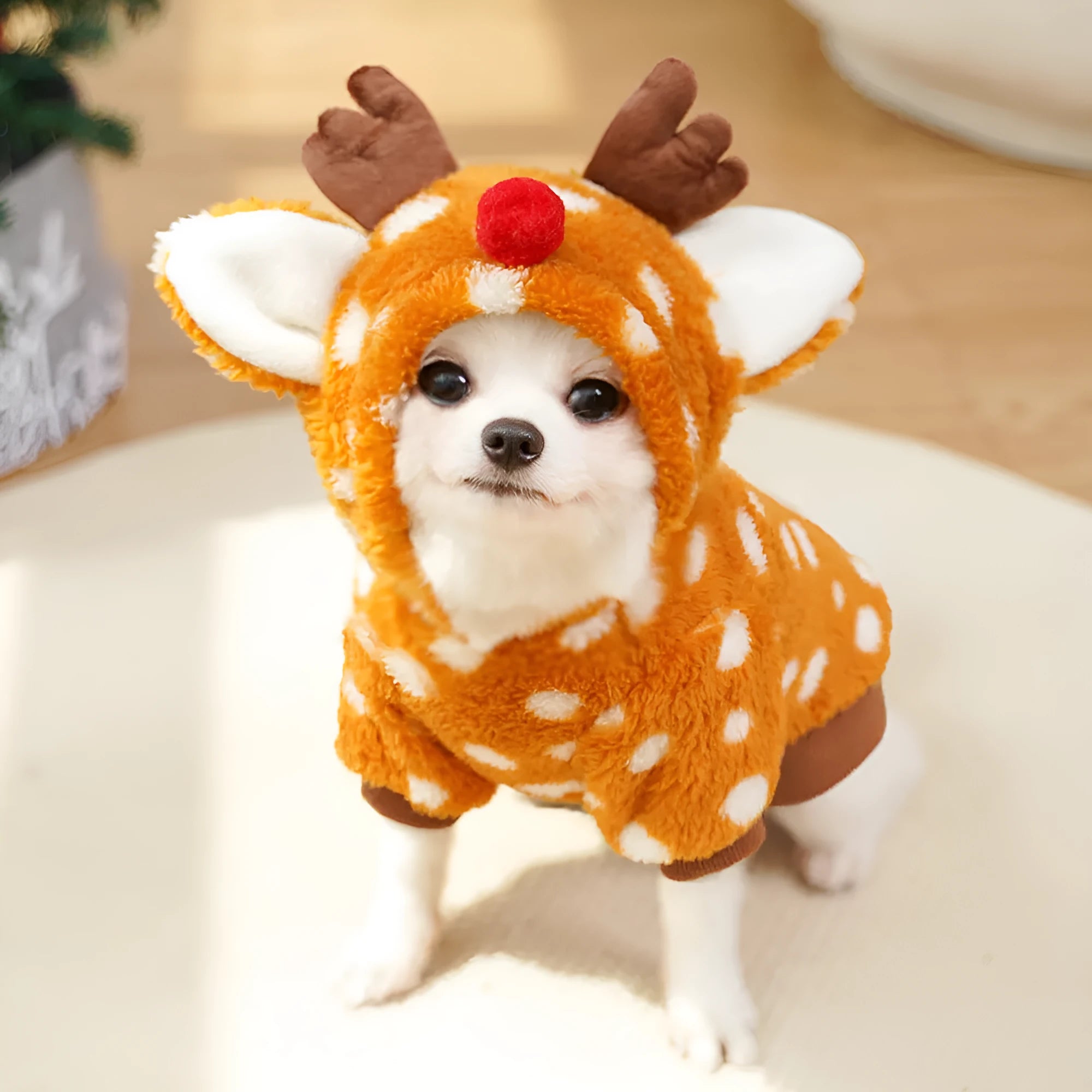 Elk Christmas dog costume with fleece lining on small white dog showing two-leg design and festive pattern